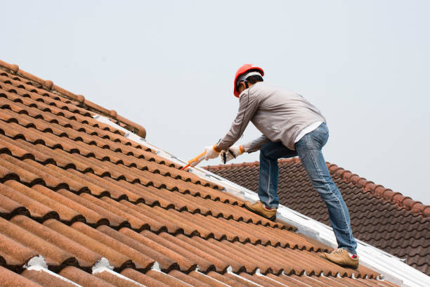 Best Roof Moss and Algae Removal  in Doral, FL